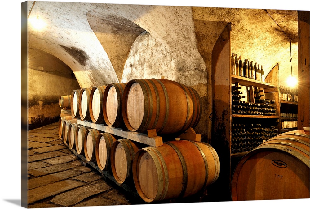 Italy, Friuli-Venezia Giulia, Collio, Cormons, Wine cellars at the Edi Keber winery
