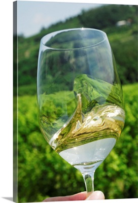 Italy, Friuli-Venezia Giulia, Collio, Glass of wine at the Zuani vineyards