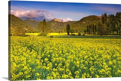 Italy, Labro, View of the town in spring with a field of canola