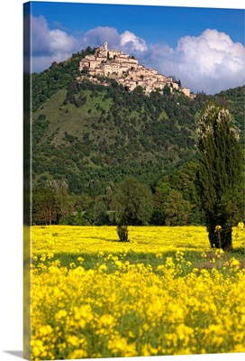 Italy, Labro, View of the town with a field of canola flowers in the foreground