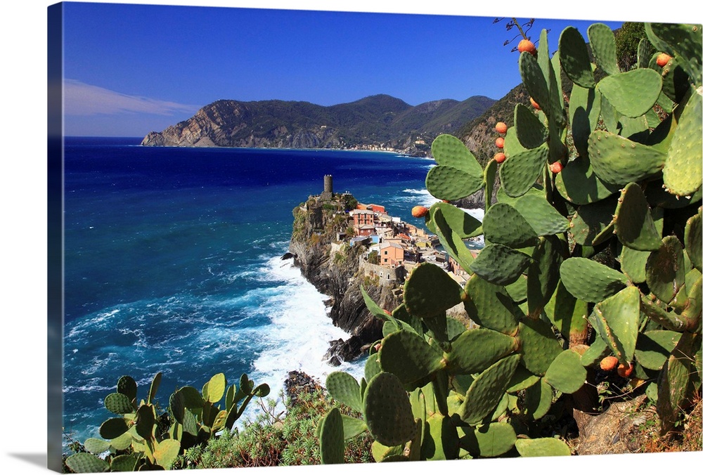 Italy, Liguria, Cinque Terre, Prickly pear trees with Vernazza