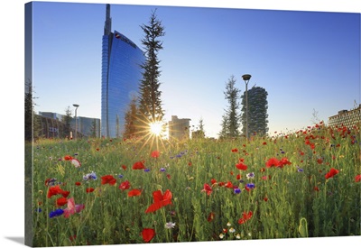 Italy, Lombardy, Milan, Flowers With The Unicredit Tower, The Bosco Verticale At Sunset