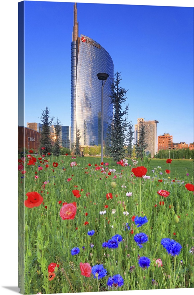 Italy, Lombardy, Milano district, Milan, Porta Nuova, Flowers and the Unicredit Tower at dawn.