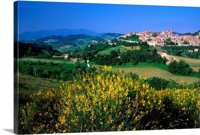 Italy, Marche, Urbino, Historical center