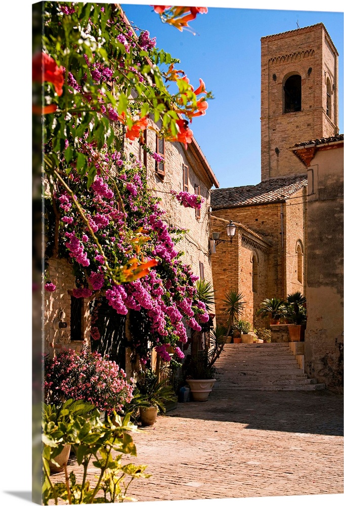 Italy, Marches, Torre di Palme, Ascoli Piceno district