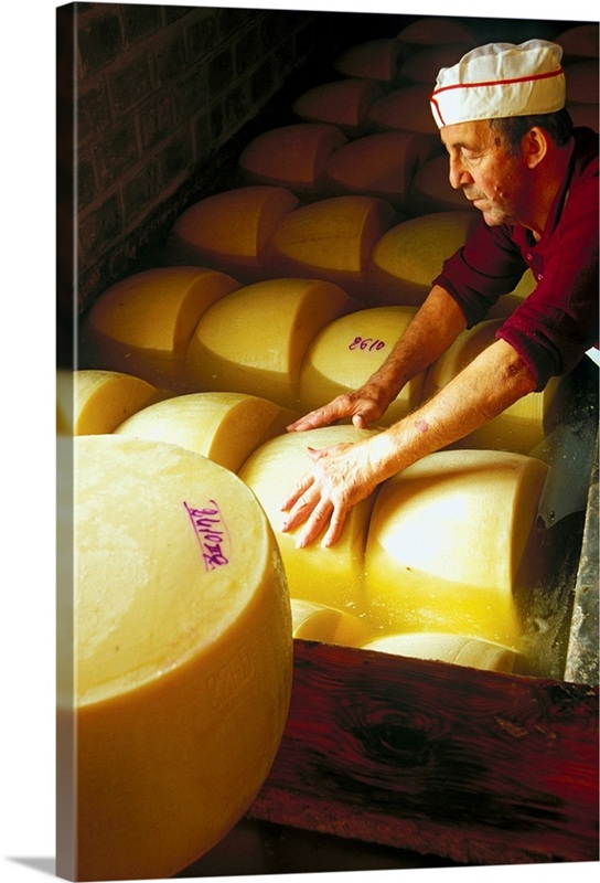 Parma Shapes Italy, Parma district, Parmigiano Reggiano, shapes in tub of salting ...