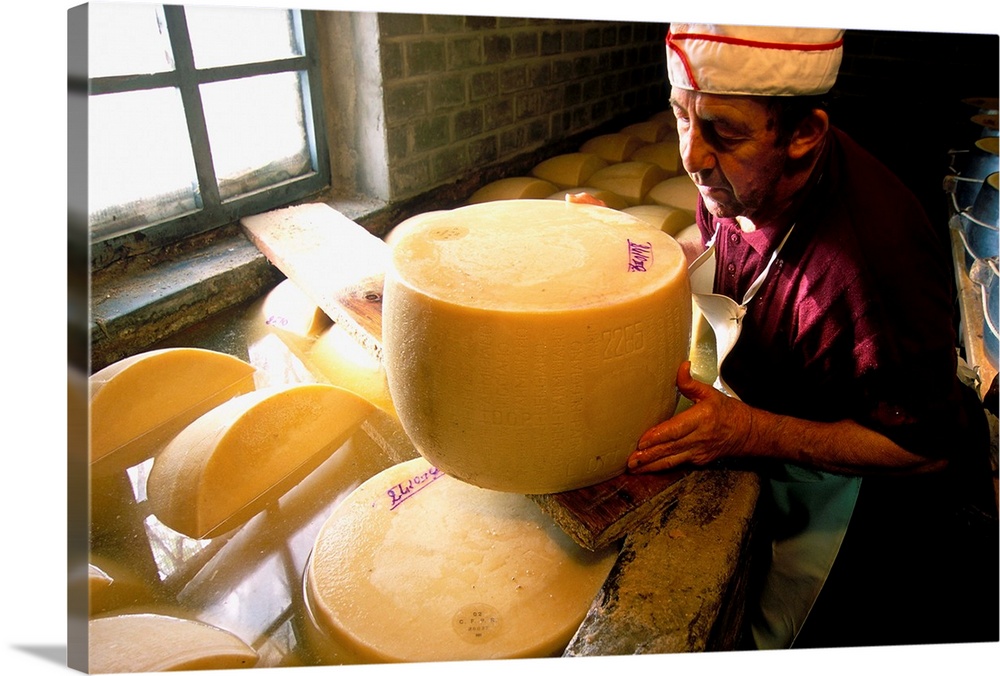 Italy, Parma district, Parmigiano Reggiano, shapes in tub of salting