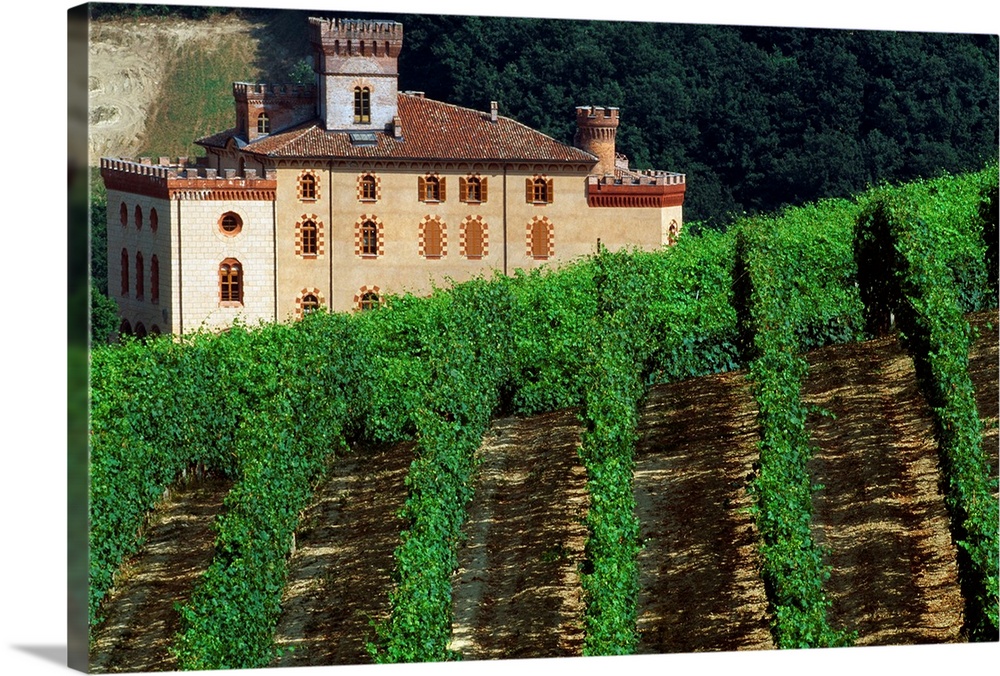Italy, Piedmont, Barolo, the castle, enoteque of Barolo wine