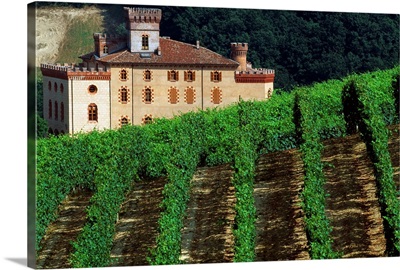 Italy, Piedmont, Barolo, the castle, enoteque of Barolo wine