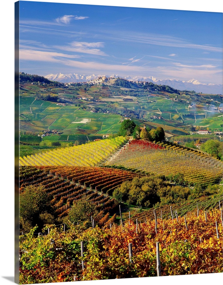 Italy, Piedmont, Langhe, Barolo vineyards and La Morra village in background