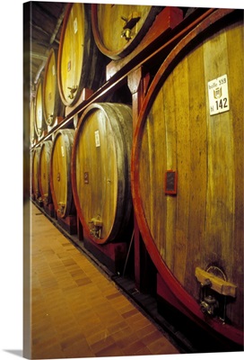 Italy, Piedmont, Langhe, Cuneo, Fontana Fredda wine cellars
