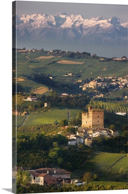 Italy, Piedmont, Langhe, Grinzane Cavour, Castle, vineyards and Alps
