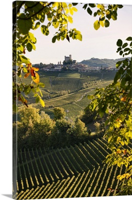 Italy, Piedmont, Langhe, Serralunga d'Alba, Landscape Of Vineyards Hills And The Village
