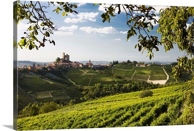 Italy, Piedmont, Langhe, Serralunga d'Alba, Vineyards and village