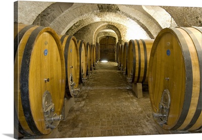 Italy, Piedmont, Monferrato, Alfiano Natta, The old wine cellars under Razzano Castle