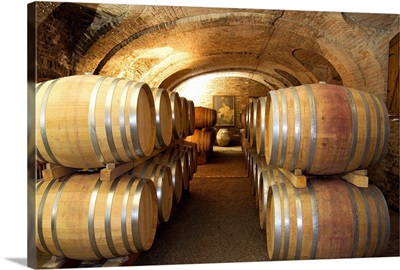 Italy, Piedmont, Monferrato, Alfiano Natta, The old wine cellars under Razzano Castle