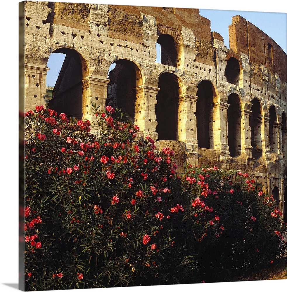 Italy, Rome, Coliseum