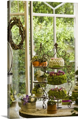 Italy, Rome, Floral cakes