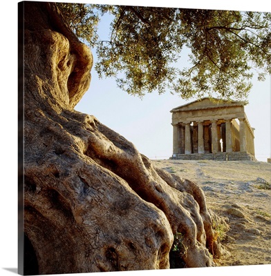 Italy, Sicily, Agrigento, Valley of the Temples, Temple of Concordia