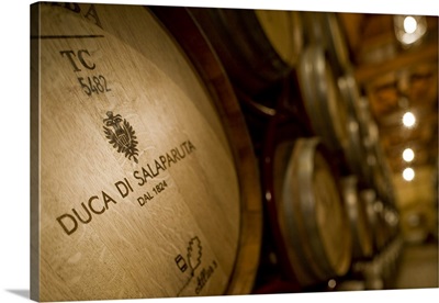 Italy, Sicily, Casteldaccia, Duca di Salaparuta winery, barriccaia cellar