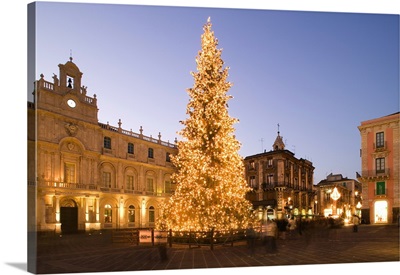 Italy, Sicily, Catania, Piazza Universita, Christmas tree