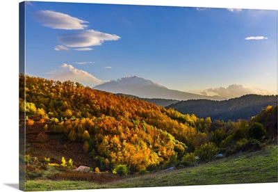 Italy, Sicily, Monti Nebrodi, Nebrodi Mountains, Malabotta Forest, Etna In Background