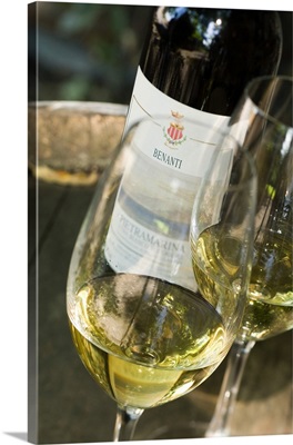 Italy, Sicily, Mount Etna, Glass of white wine carricante Pietramarina