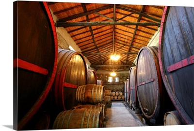 Italy, Sicily, Mount Etna, Milo locality, Barone di Villagrande winery