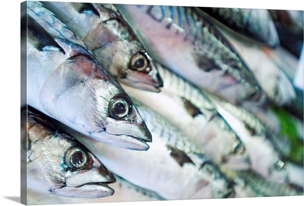 Italy, Italia, Sicily, Sicilia, Palermo, Vucciria market, fish