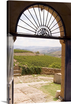 Italy, Sicily, Sclafani Bagni, Regaleali winery, view towards vineyards