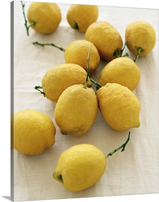 Italy, Sicily, Sicilian Lemons