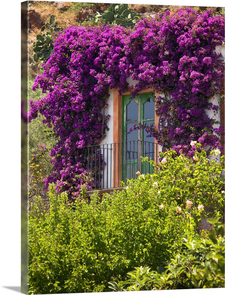 Italy, Sicily, Tyrrhenian sea, Lipari islands, Filicudi, Window with flowers