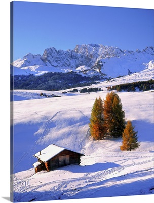 Italy, South Tyrol, Bolzano, Alpe di Siusi (Seiser Alm)