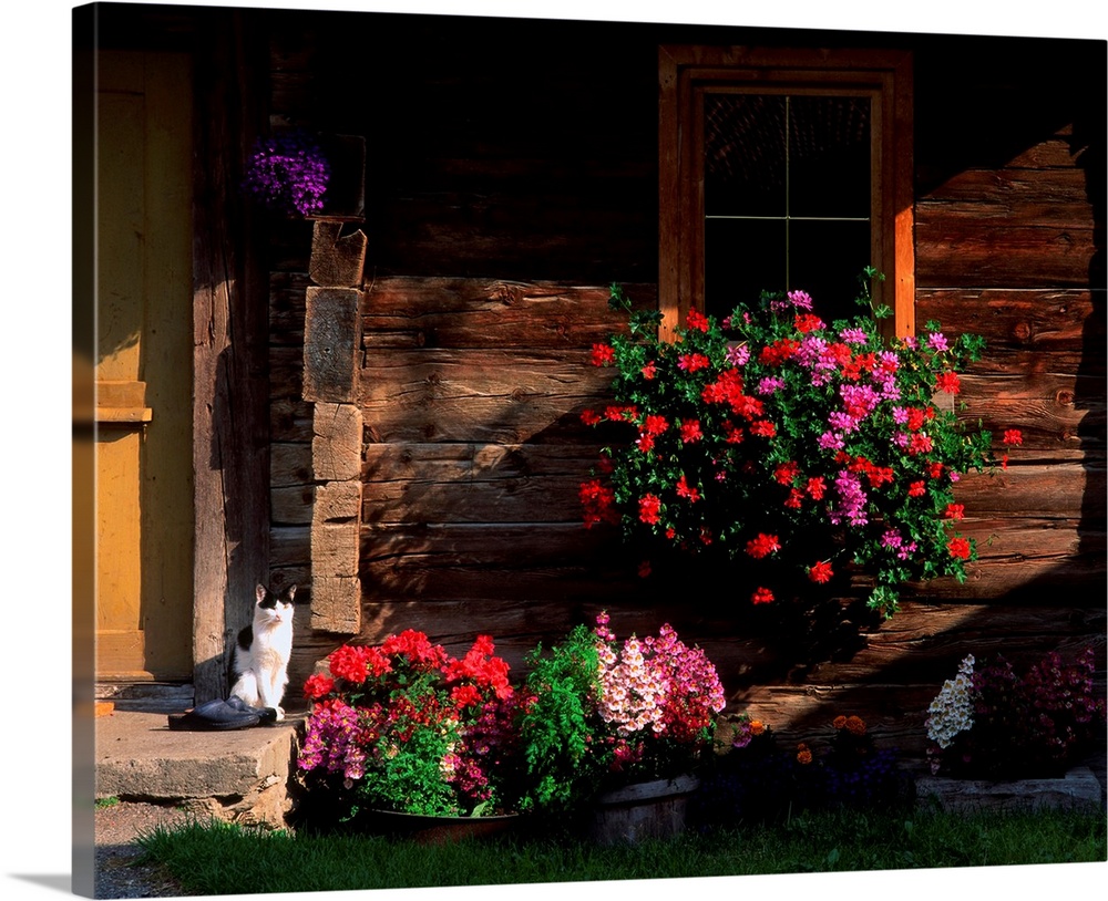 Italy, South Tyrol, Val Casies, (Gsieser Tal), typical house entrance