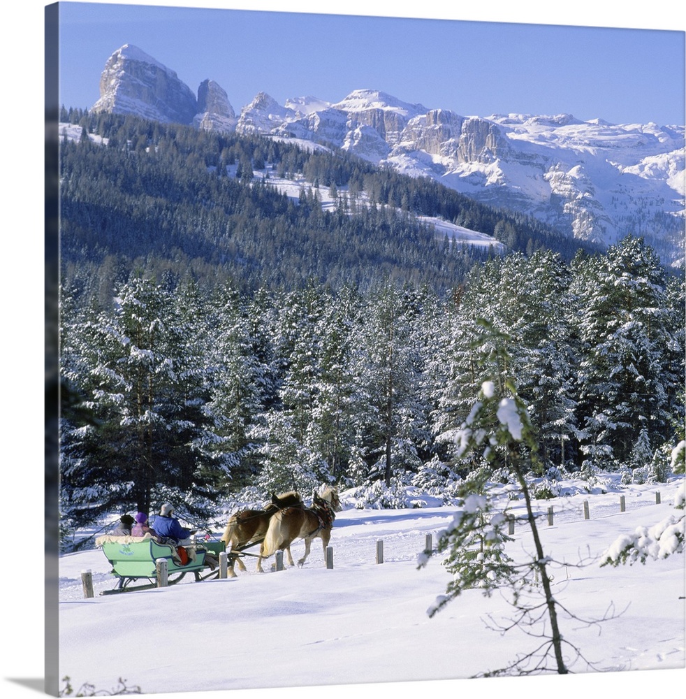 Italy, Trentino-Alto Adige, South Tyrol, Dolomites, Alps, Sellaronda, Alta Badia, Armentarola, Horse drawn sledge with Pue...