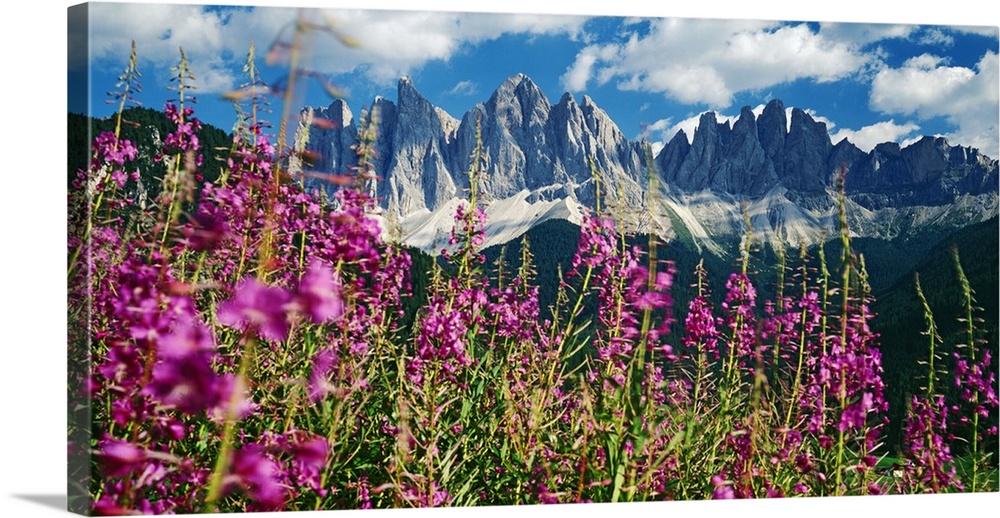 Italy, Trentino-Alto Adige, Dolomites, Val di Funes, Odle range