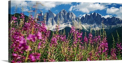 Italy, Trentino-Alto Adige, Dolomites, Val di Funes, Odle range