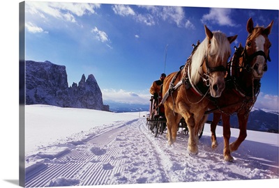 Italy, Trentino-Alto Adige, South Tyrol, Alpe di Siusi (Seiser Alm), horse sledge