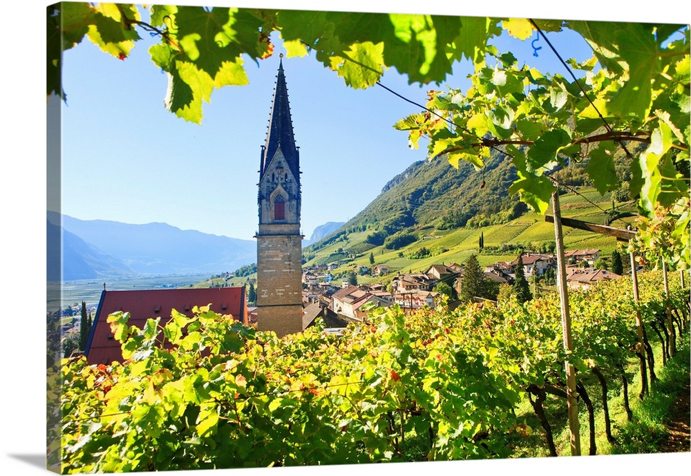 Italy, Trentino-Alto Adige, Bolzano district, South Tyrol, South Tyrolean Wine Road, Termeno, Alps, Vineyards near the vil...