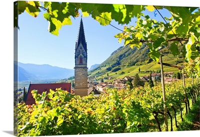 Italy, Trentino-Alto Adige, South Tyrolean Wine Road, Termeno, Alps