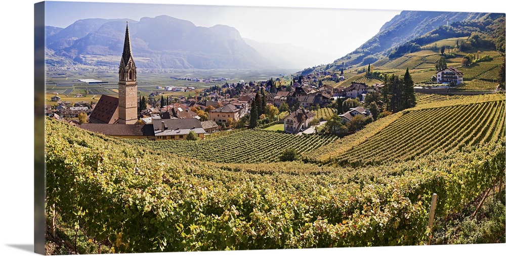 Italy, Trentino-Alto Adige, South Tyrol, South Tyrolean Wine Road, Termeno, Mediterranean area, Alto Adige,S..dtirol, Alps...