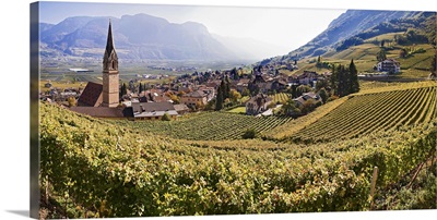 Italy, Trentino-Alto Adige, South Tyrolean Wine Road, Vineyards near Termeno
