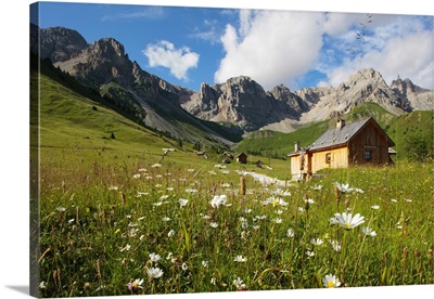 Italy, Trentino-Alto Adige, Trentino, Val di Fassa, Monzoni group mountain