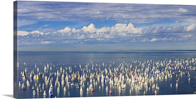 Italy, Trieste, Barcolana regatta