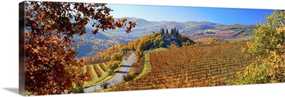 Italy, Tuscany, Castellina in Chianti, Vineyards