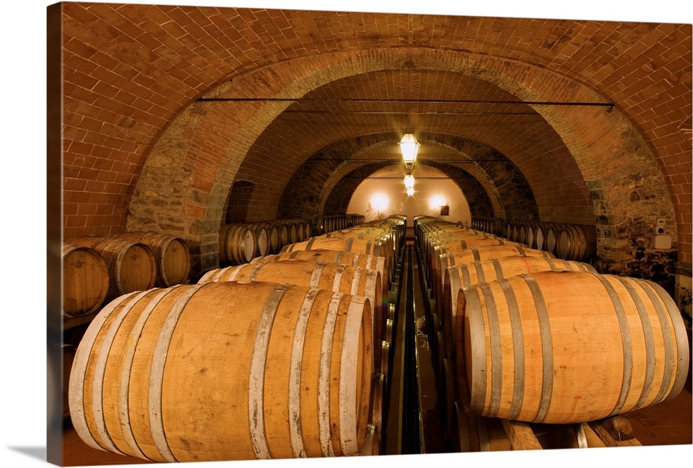 One of the cellars of the Castello d'Albola, one of the biggest vineyards of the Chianti region, near the village of Radda...