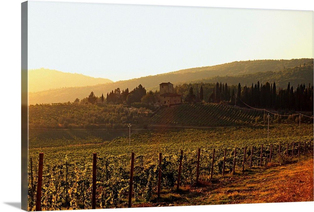 Italy, Tuscany, Chianti, Greve in Chianti, Landscape near Panzano