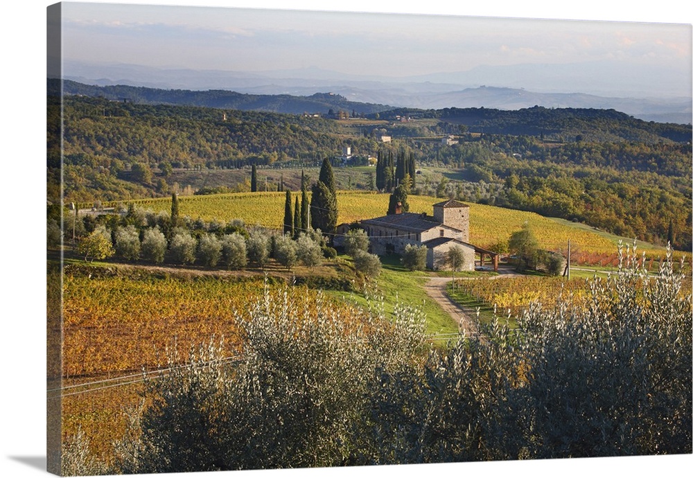 Italy, Tuscany, Chianti, Mediterranean area, Firenze district, Travel Destination, Vineyard