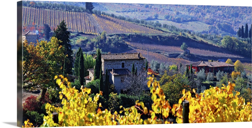 Italy, Tuscany, Chianti, Panzano in Chianti, Country houses