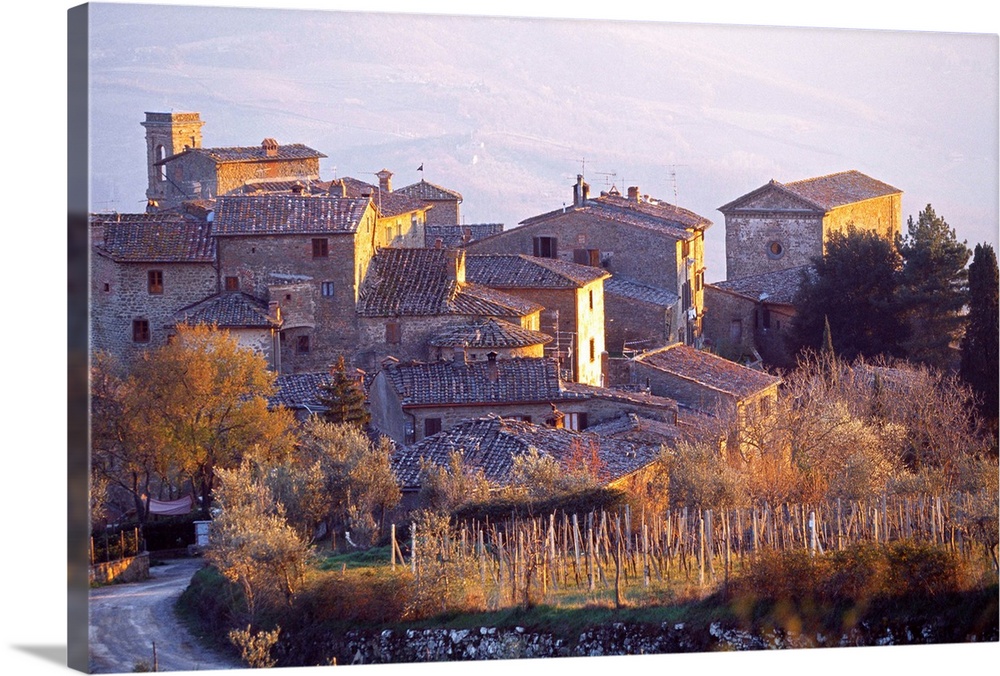 Italy, Tuscany, Chianti, Radda in Chianti, Volpaia locality